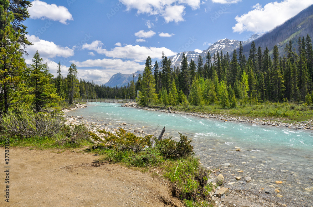 Vermilion river at Kootenay National Park in Canada