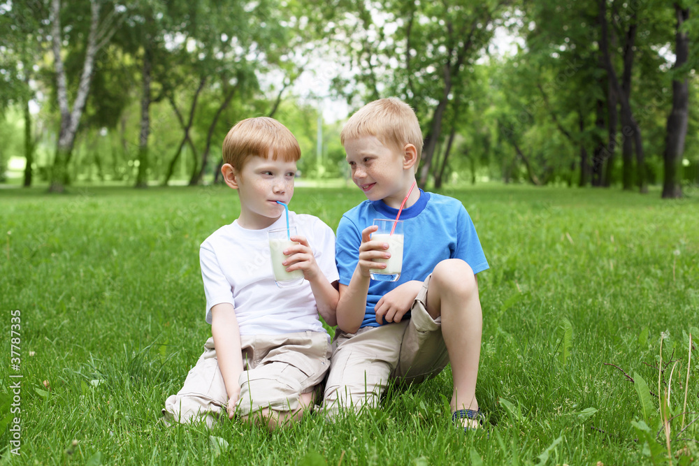 Fototapeta premium Portrait of two boys in the summer outdoors