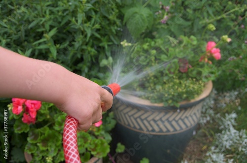 Child irrigating flowers with a garden hose