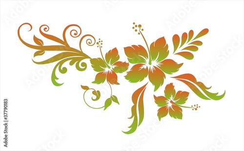 Hibiskus Blumenornament