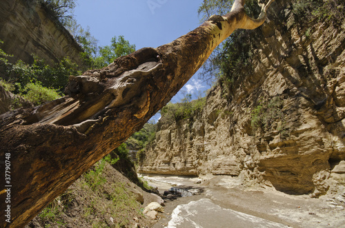 Gorge in the Hell's Gate National Park, Kenya