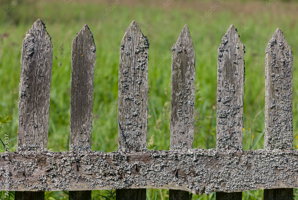 Old rural wooden fence