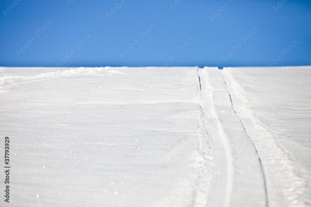 Sled Snow Trail