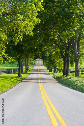 Wallpaper Mural Country road surrounded the horse farms Torontodigital.ca