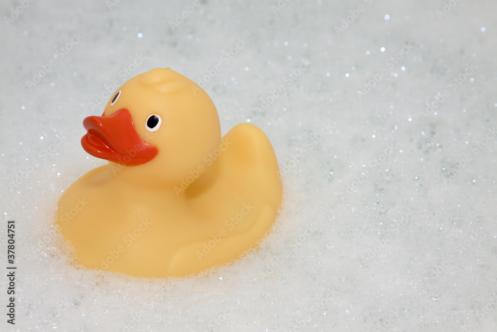 Rubber Duck in Bubbles Rubber Duck in Bubbles