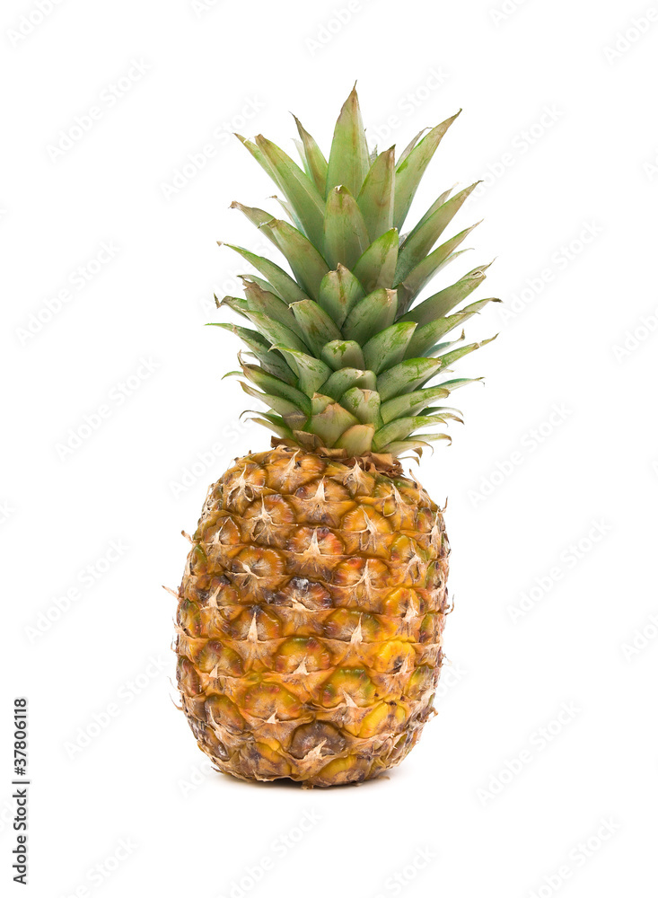 ripe pineapple on a white background ripe pineapple on a white background