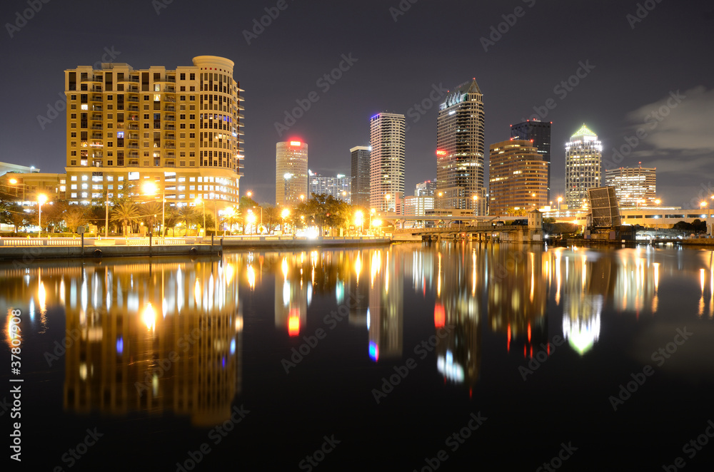 Obraz premium Tampa Skyline