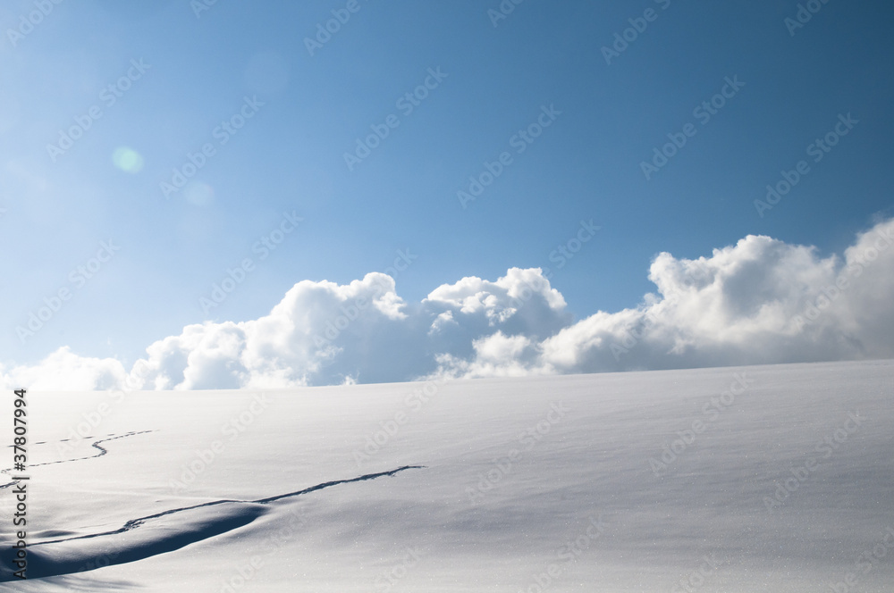 輝く雪原 輝く雪原