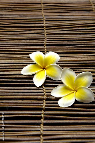 Beautiful two frangipani on stick straw mat