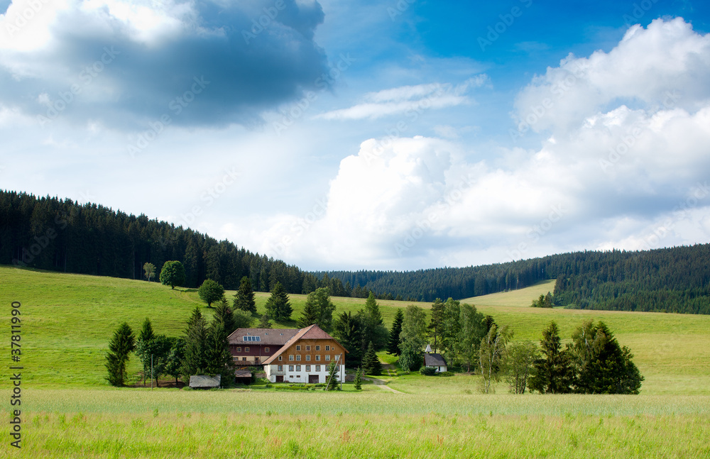 Obraz premium Schwarzwald-Hof