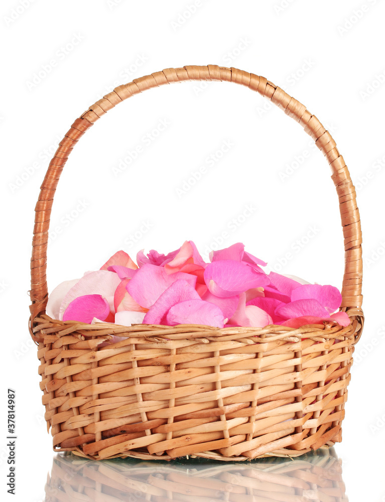 beautiful pink rose petals in basket isolated on white beautiful pink rose petals in basket isolated on white