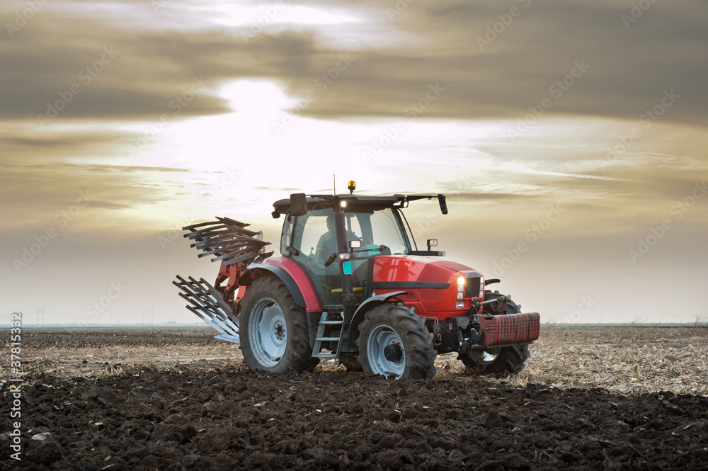 Fototapeta premium Tractor at Sunset