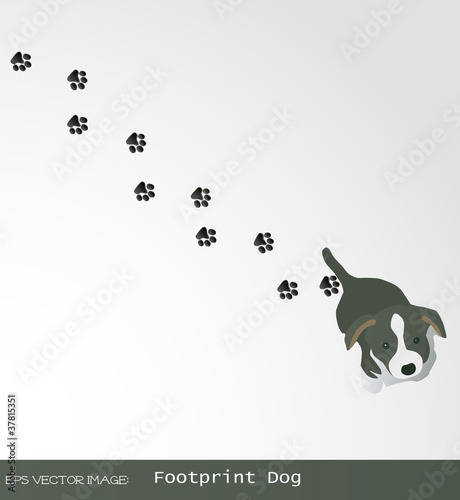 Fototapeta Naklejka Na Ścianę i Meble -  eps Vector image:Footprint Dog