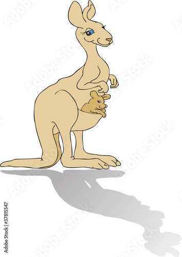 kangaroo
