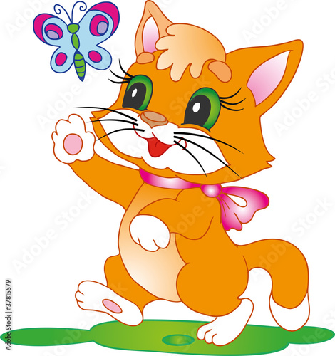 kitten with a butterfly