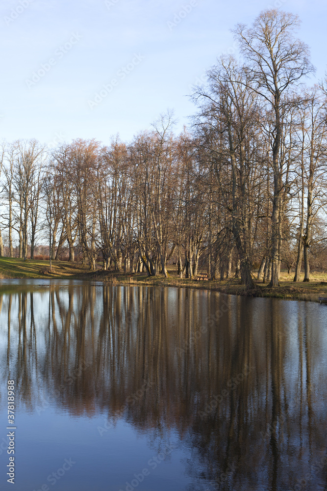 Trees at pond.