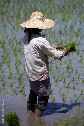 Lago Inle - Myanmar photo