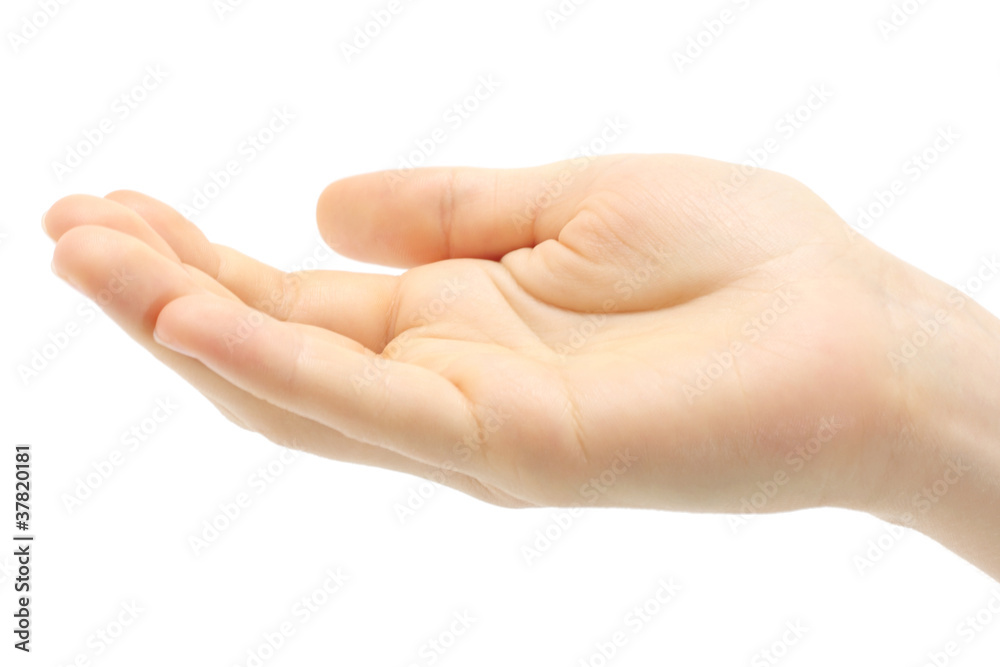 Human hand held up on white background Human hand held up on white background