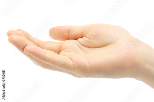 Human hand held up on white background