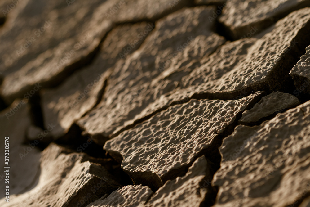 Cracked lifeless soil Cracked lifeless soil