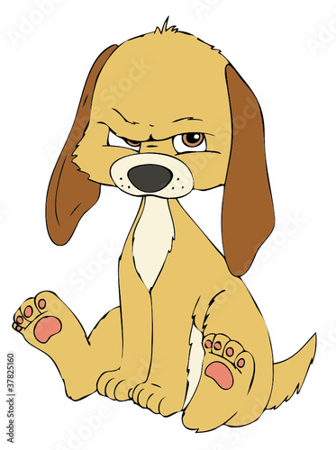 Hund, Welpe, Hundewelpe