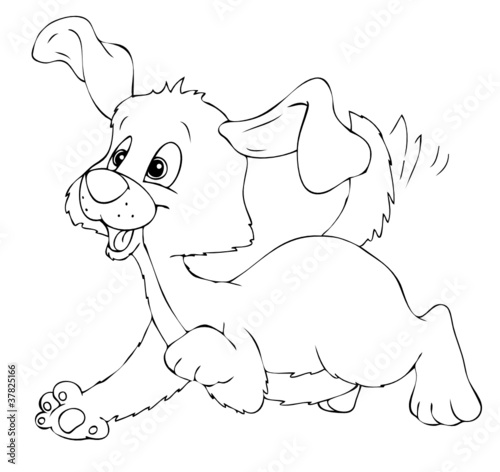 Hund, Welpe, Hundewelpe