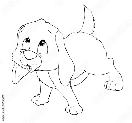 Hund, Welpe, Hundewelpe
