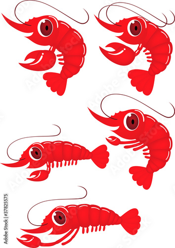 Funny shrimp collection