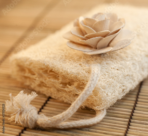 Obraz na płótnie éponge luffa naturelle