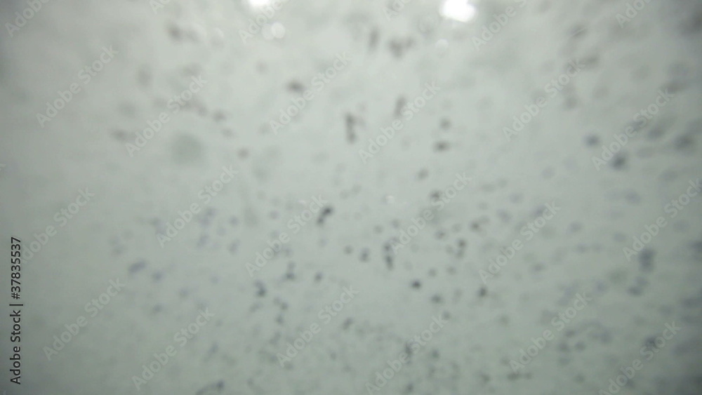 Vehicle going through a carwash