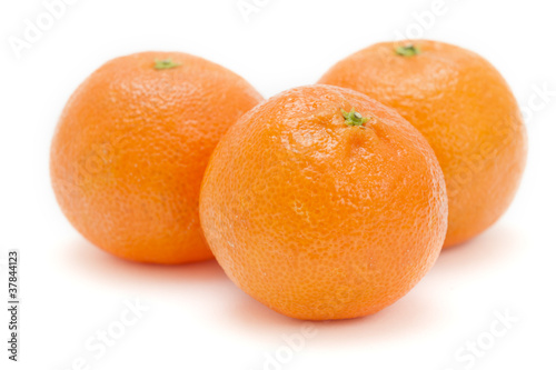 Obraz na płótnie Three satsumas on white background w salonie