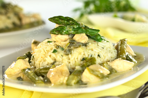 Obraz na płótnie Green asparagus and chicken fricassee with rice