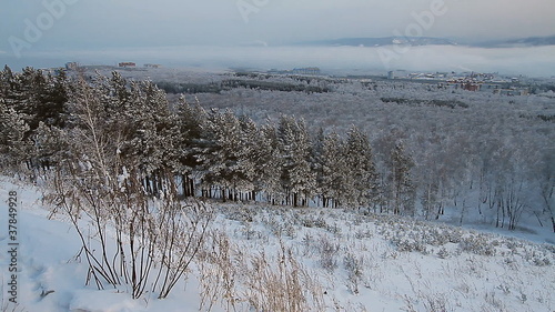 Wallpaper Mural Winter snow landscape. Torontodigital.ca