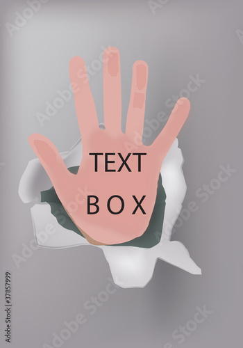 palmo della mano