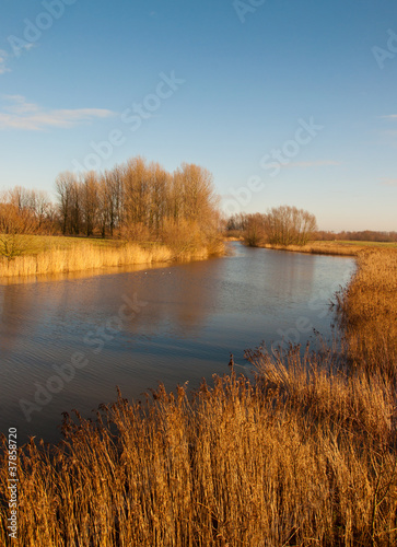 Autumnal colors in a Dutch landscape