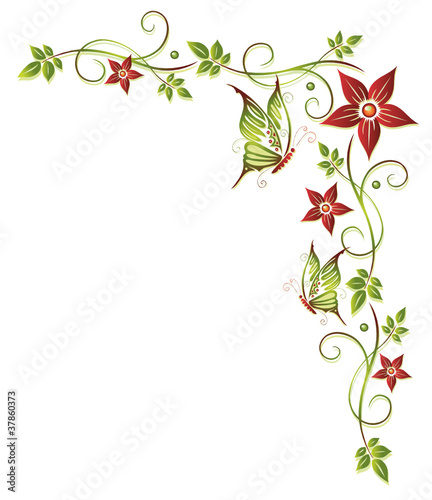 Ranke, flora, Blumen, Blüten, grün, orange, rot