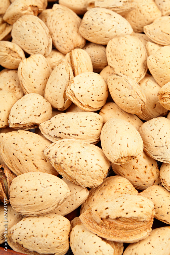 almond nut almond nut