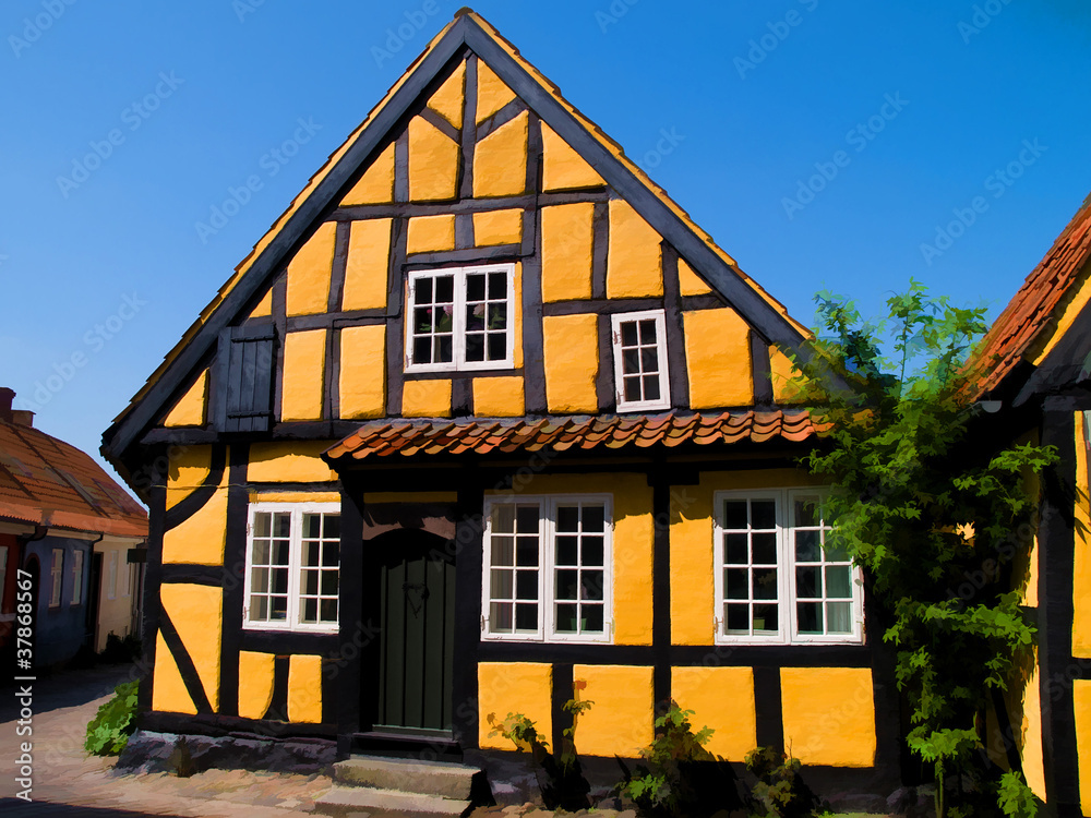 Traditional old Danish house digital art