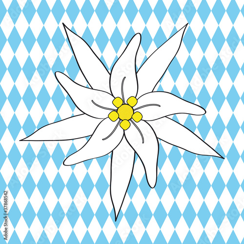 Edelweiss bayerisch