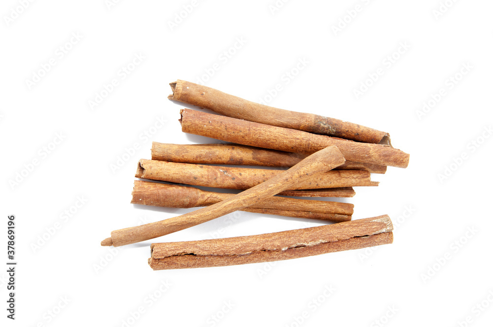 Cinnamon Cinnamon