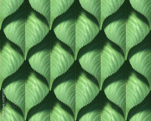 Tiling texture     Leaf