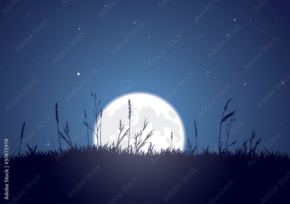 Grassy Moonrise