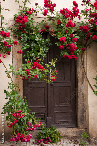 Fototapeta Naklejka Na Ścianę i Meble -  Red roses door