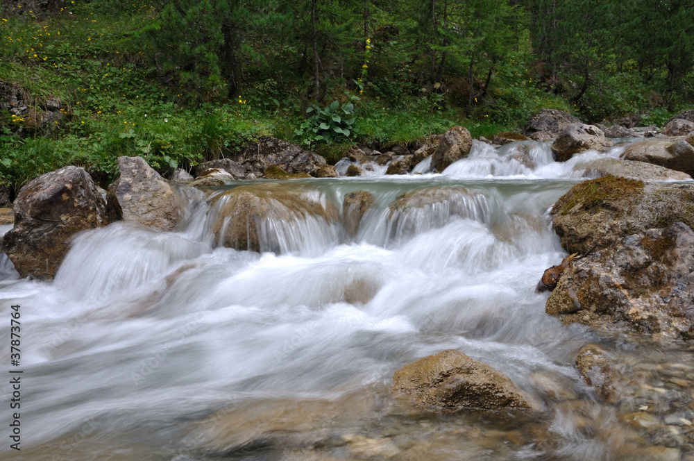 torrent de montagne 45