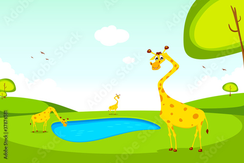 Giraffe © vectomart