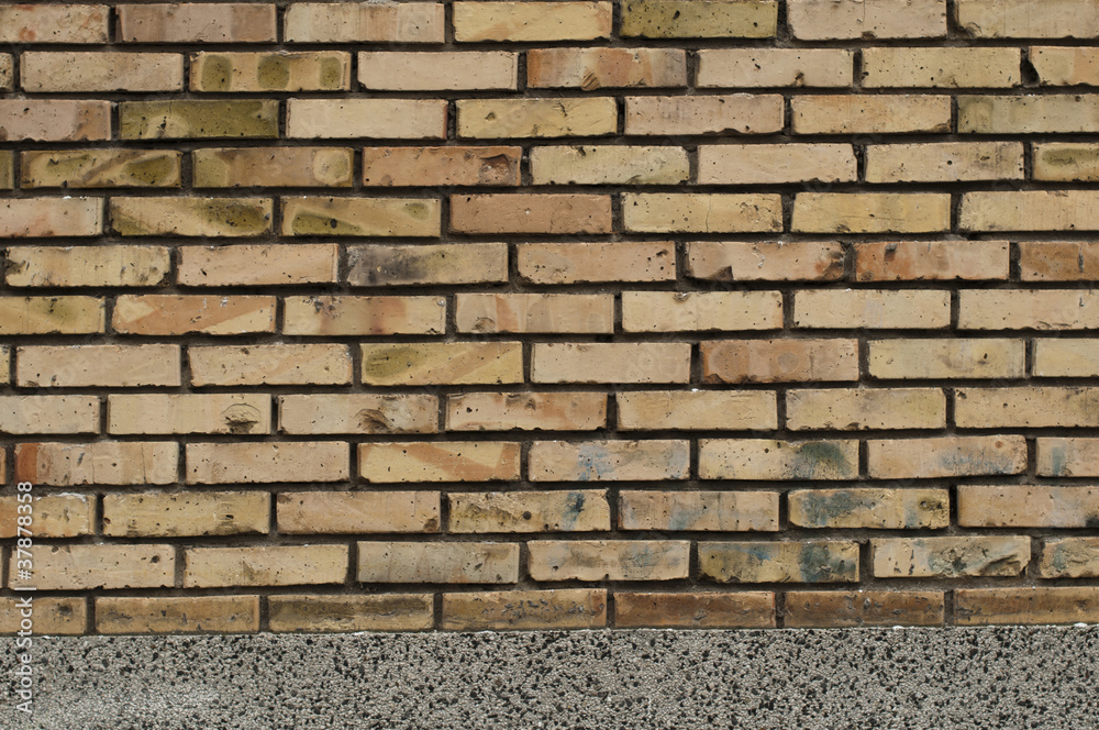 custom made wallpaper toronto digitalBrick wall