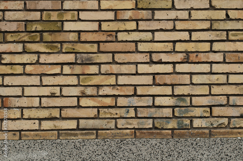 Wallpaper Mural Brick wall Torontodigital.ca
