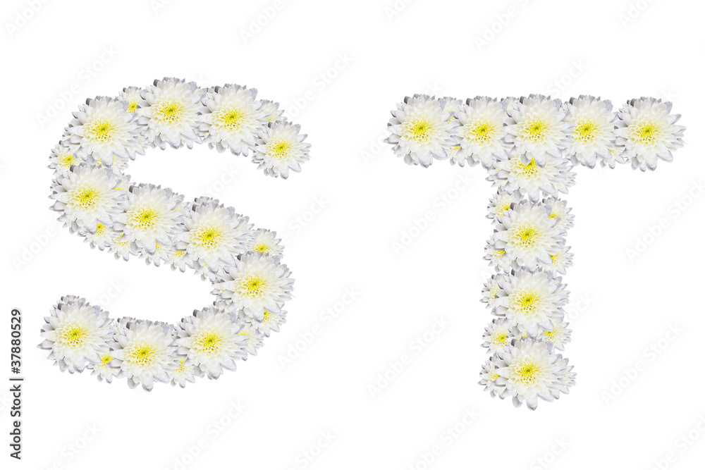 alphabet ST , White Flower isolated on white background alphabet ST , White Flower isolated on white background
