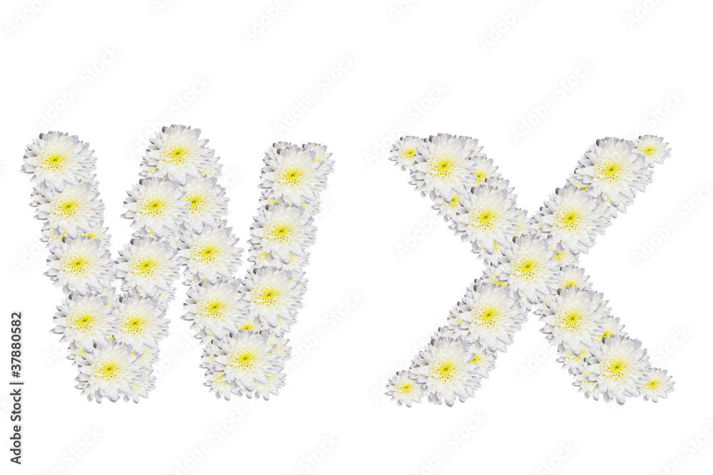 alphabet WX , White Flower isolated on white background