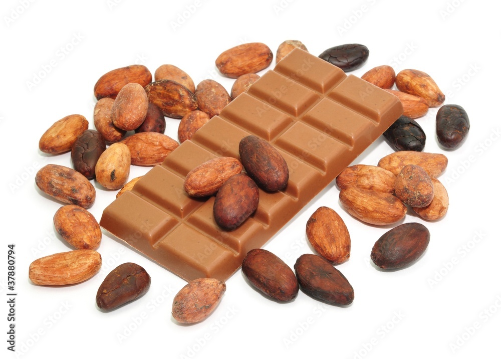 Schokoladentafel, Kakaobohnen